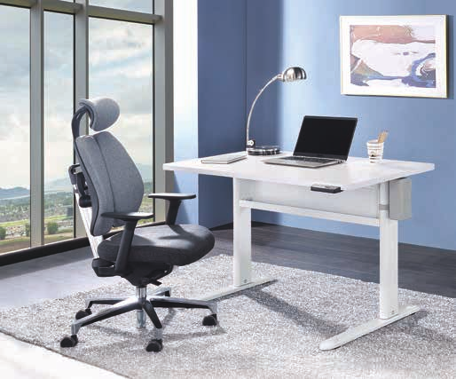 電動升降桌、辦公桌椅系列